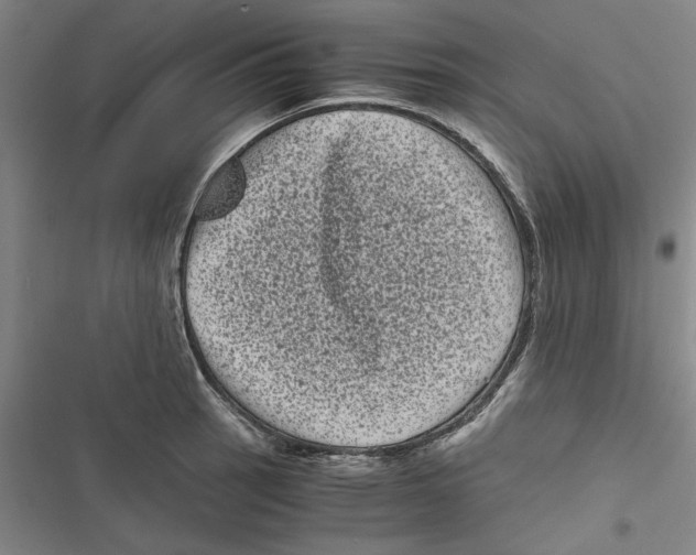 X0000116761137201001141424