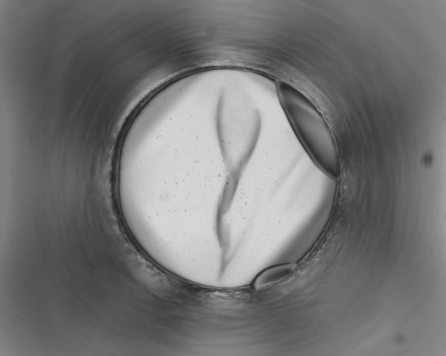 X0000116761138201001141424