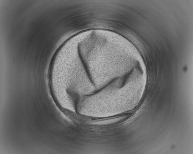 X0000116761141201001141424