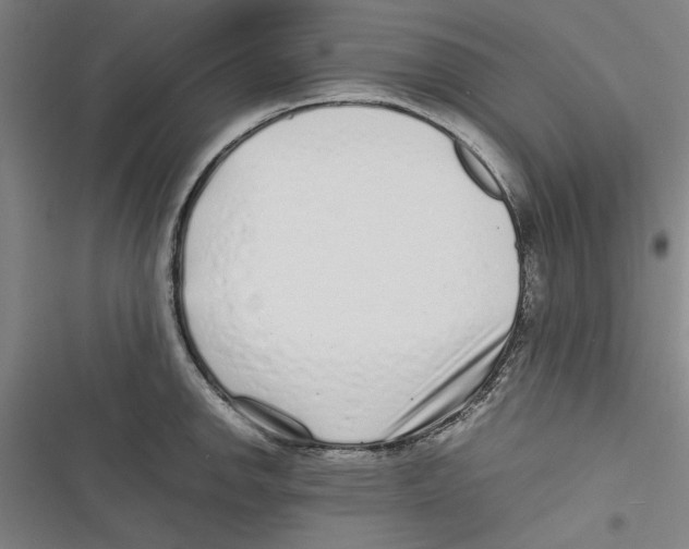 X0000116761142201001141424