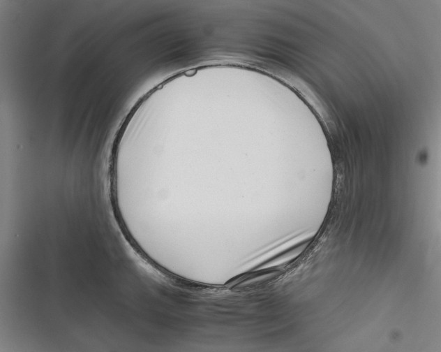 X0000116761143201001141424