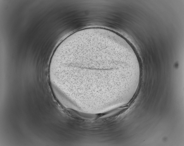 X0000116761145201001141424