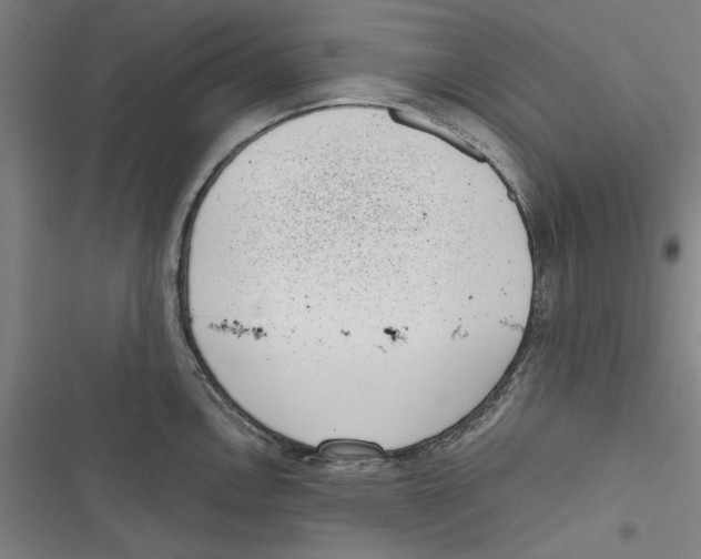 X0000116761146201001141424