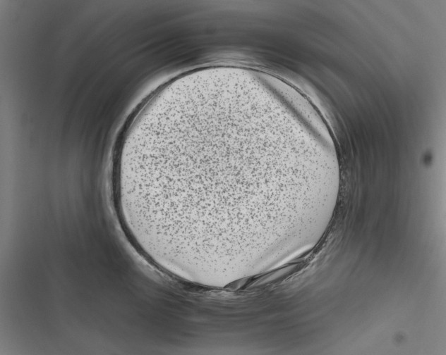 X0000116761147201001141424