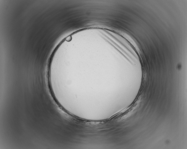 X0000116761149201001141424