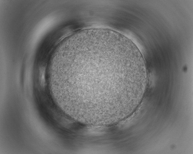 X0000116761150201001141424