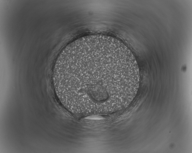 X0000116761153201001141423