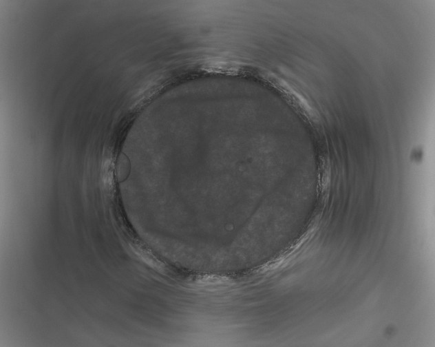 X0000116761154201001141423