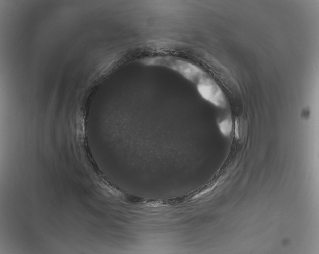 X0000116761155201001141423