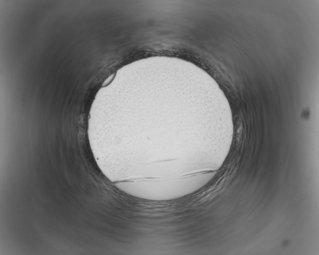 X0000116761156201001141423