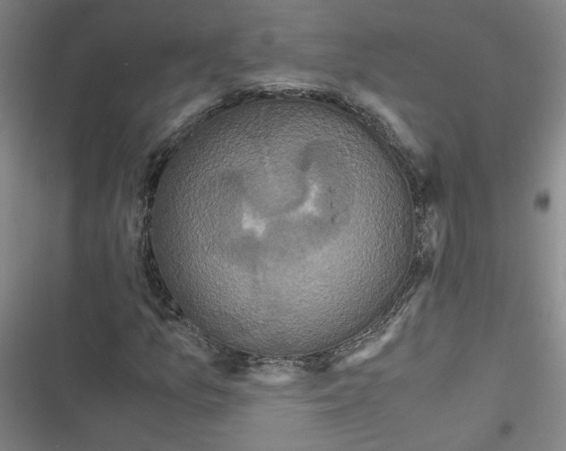 X0000116761157201001141423