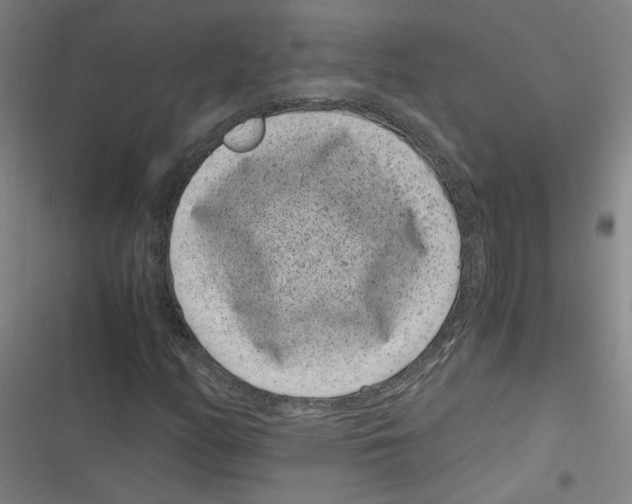 X0000116761158201001141423