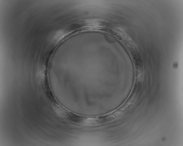 X0000116761161201001141423