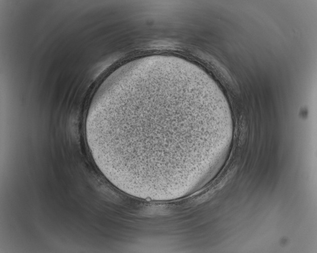 X0000116761162201001141423