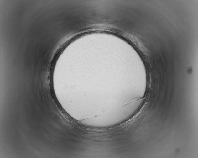 X0000116761164201001141423