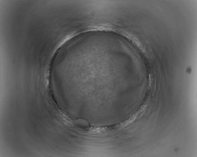 X0000116761165201001141423