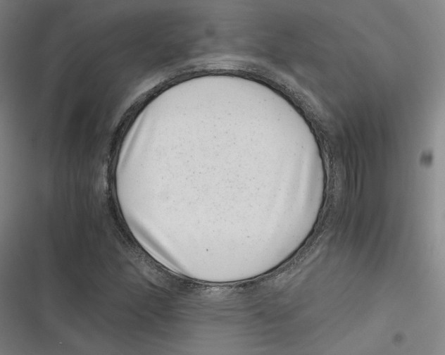 X0000116761166201001141423