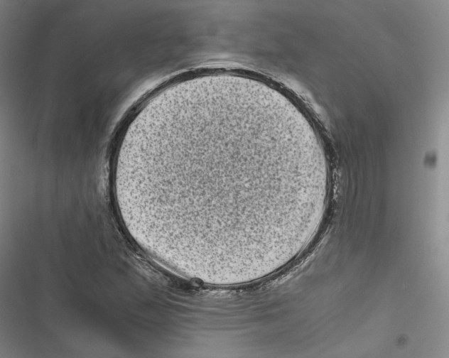 X0000116761167201001141423