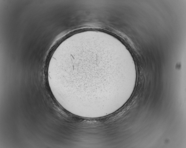 X0000116761168201001141423