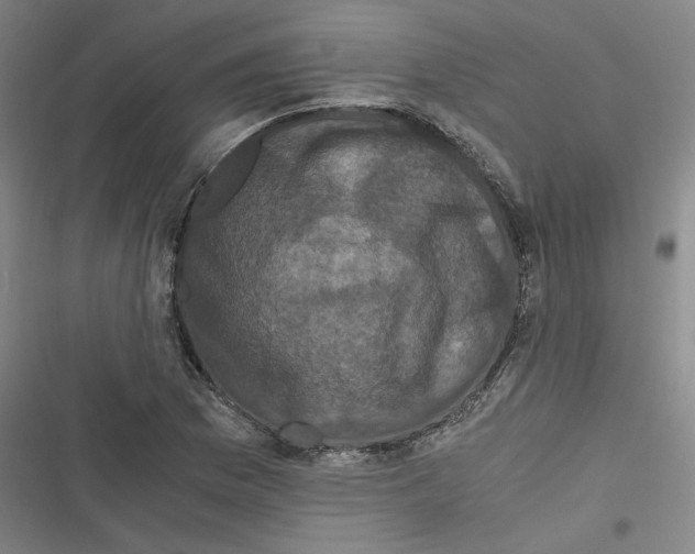 X0000116761169201001141423