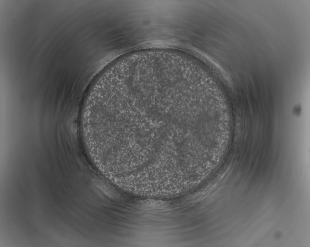 X0000116761170201001141423