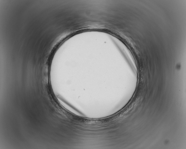 X0000116761171201001141423