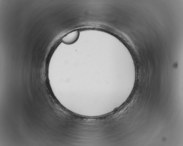 X0000116761172201001141423