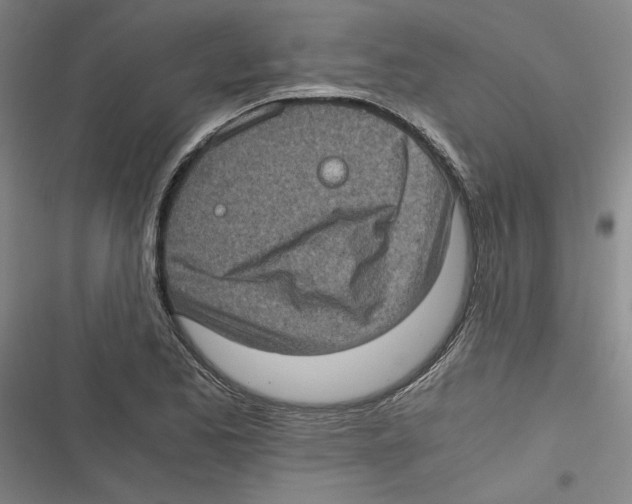 X0000116761173201001141423