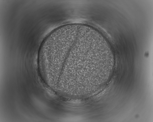 X0000116761174201001141423