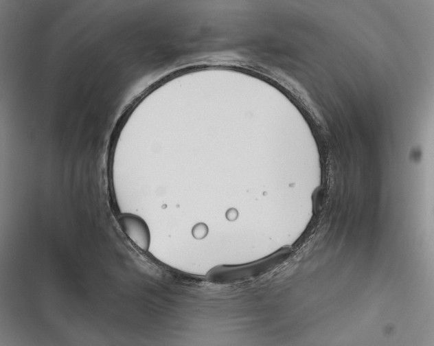 X0000116761176201001141423