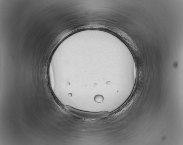 X0000116761177201001141423