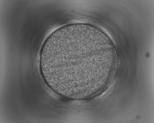 X0000116761179201001141423