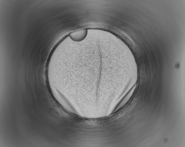 X0000116761182201001141423