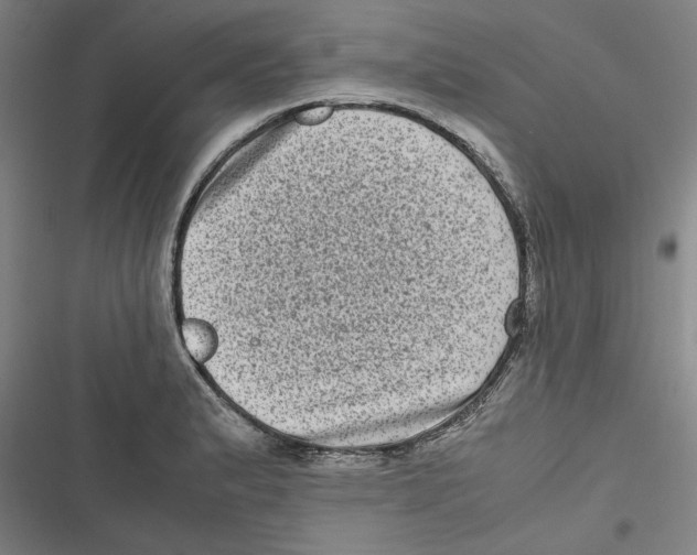 X0000116761183201001141423