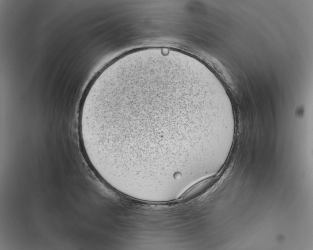 X0000116761184201001141423