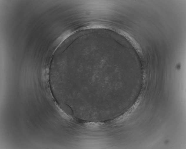 X0000116761185201001141423