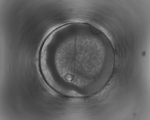 X0000116761187201001141423