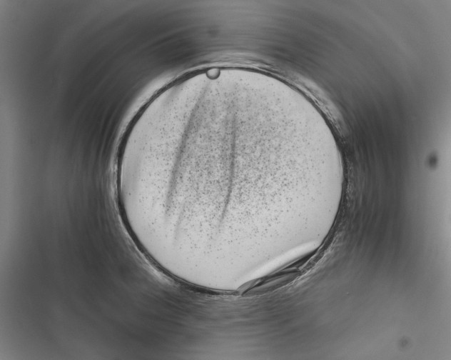 X0000116761188201001141423