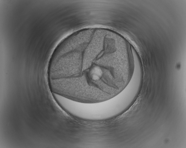 X0000116761189201001141423