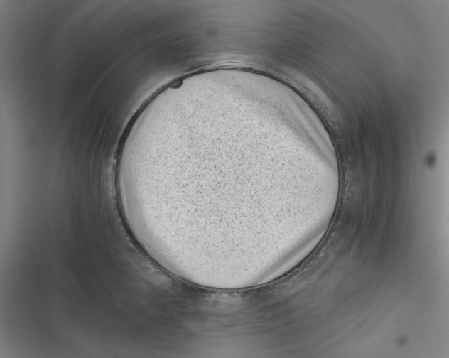 X0000116761190201001141423