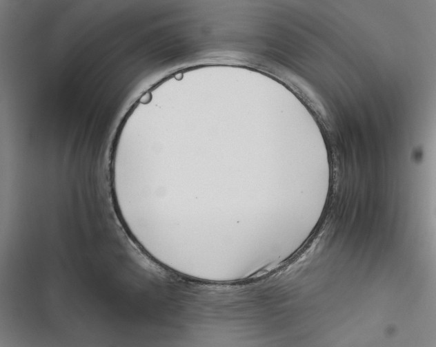 X0000116761192201001141423