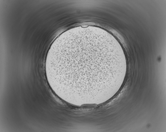 X0000116761193201001141423