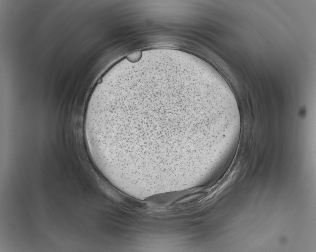 X0000116761194201001141423