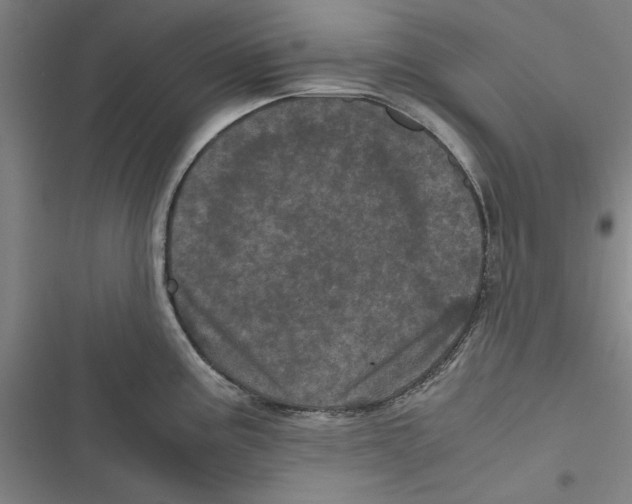 X0000116761195201001141423