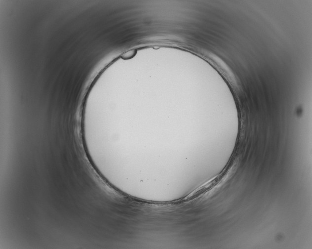 X0000116761196201001141423