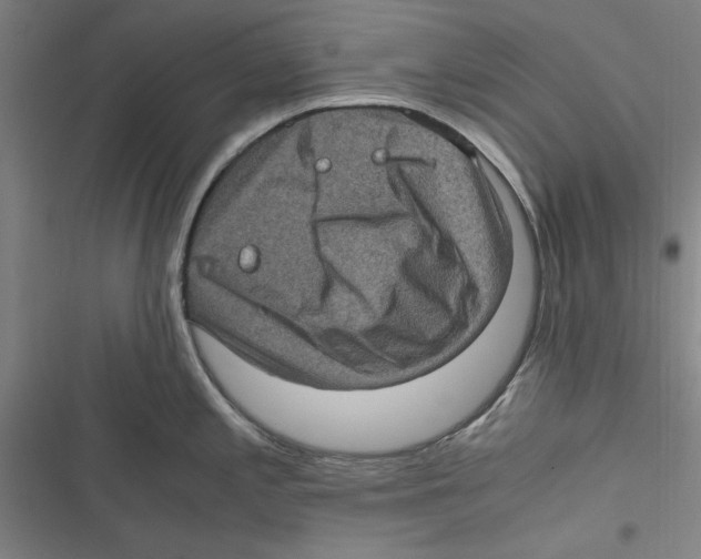 X0000116761197201001141423