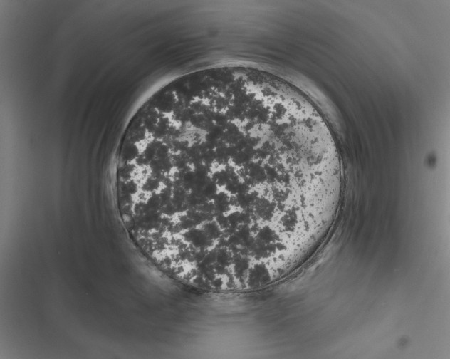 X0000116761198201001141423