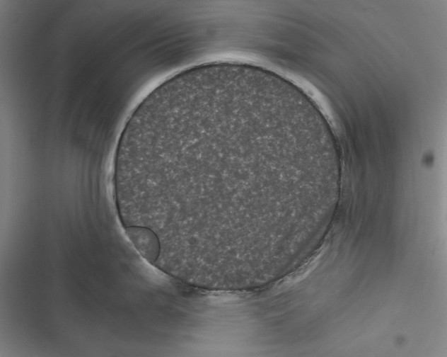 X0000116761199201001141423