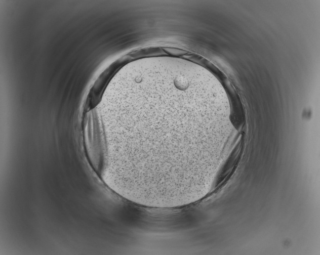 X0000116761200201001141423