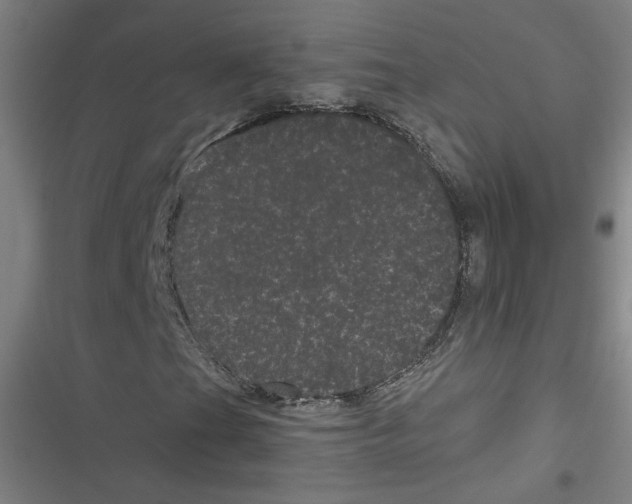 X0000116761201201001141422